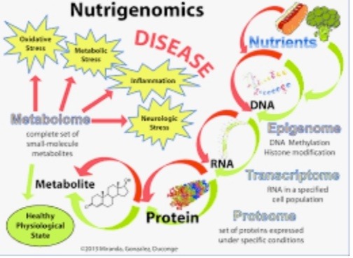 GENES TELL WHAT YOU EAT . IMG 20220203 145820