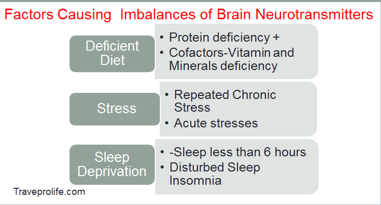 BRAIN-Your Supreme Asset 2-Wonder Chemicals of the Brain, neurotransmitters. NT 1
