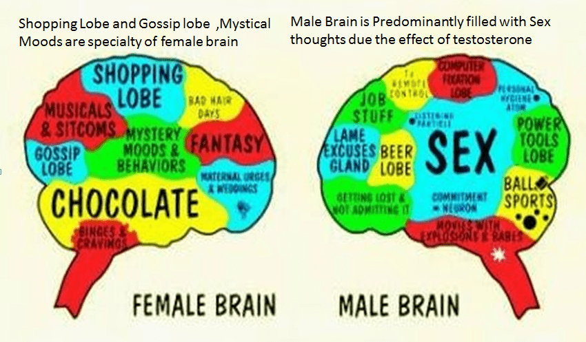 MEN’S MIND WOMEN’S MIND Famale and Male brain