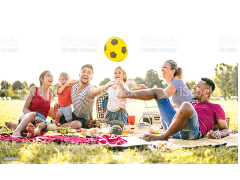 social health family picnic