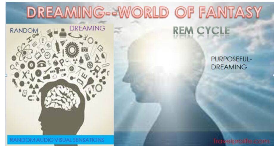 DREAMING-BASIC FACTS AND PURPOSE. IMG 20240215 222907